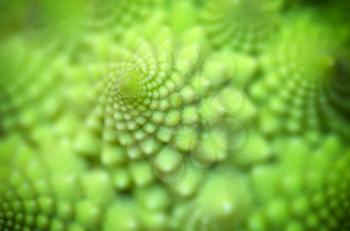 Abstract pattern of spiral. Nature macro composition. Shallow depth-of-field.