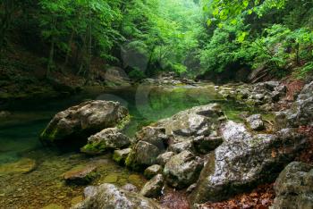 River deep in mountain forest. Nature composition.