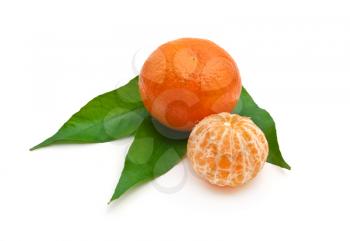 Isoalted tangerine. Element of design.