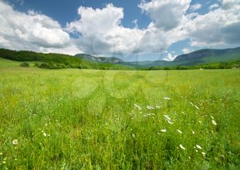 Green meadow in mountain. Composition of nature.