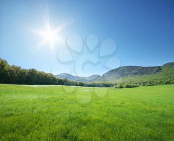 Green meadow in mountain at sunny day. Composition of nature.