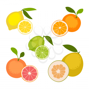 Set of fruits isolated on white background. Lemon, orange, grapefruit, pomelo, lime. Vector illustration.
