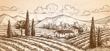Hand drawn vineyard landscape on old paper background. Vintage style vector illustration.