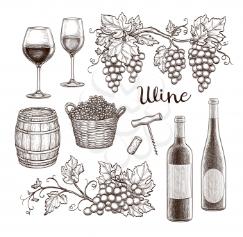 Wine set isolated on white background. Hand drawn vector illustration. Vintage style.