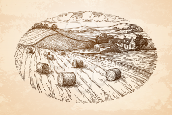 Field with haystacks. Countryside landscape. Rustic scenery with village. Old paper background. Retro style.