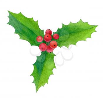 Branch of holly isolated on white background. Hand drawn watercolor illustration. New year and Christmas Holidays design.