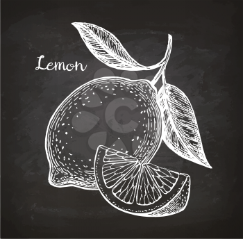 Lemon. Sketch with chalk on blackboard background. Hand drawn vector illustration. Retro style.