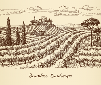 Vineyard seamless landscape. Ink sketch. Hand drawn vector illustration.
