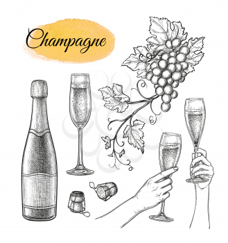 Bunches of grapes, clinking glasses and champagne bottles. Ink sketch isolated on white background. Hand drawn vector illustration. Retro style.