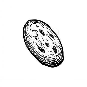 Chocolate chip cookies. Ink sketch isolated on white background. Hand drawn vector illustration. Retro style.