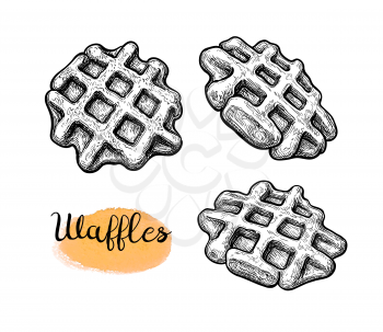 Waffles. Collection of ink sketches isolated on white background. Hand drawn vector illustration. Retro style.