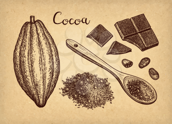 Cocoa and chocolate set. Ink sketch isolated on white background. Hand drawn vector illustration. Retro style. 