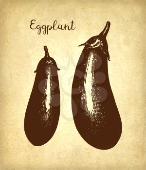 Ink sketch of eggplant on old paper background. Hand drawn vector illustration. Retro style.