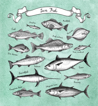 Fish big set. Ink sketches on old paper background. Hand drawn vector illustration. Retro style.