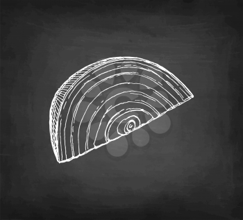 Chalk sketch of onion on blackboard background. Hand drawn vector illustration. Retro style.