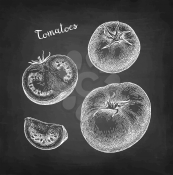 Chalk sketch of tomatoes on blackboard background. Hand drawn vector illustration. Retro style.