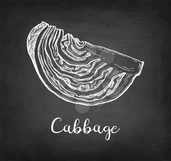 Piece of cabbage. Chalk sketch on blackboard background. Hand drawn vector illustration. Retro style.