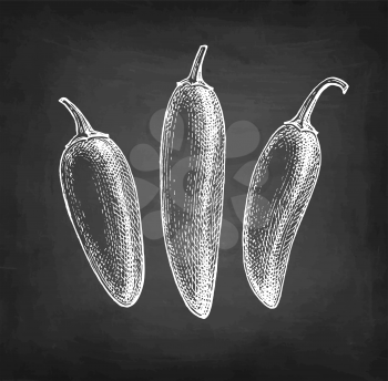 Jalapeno. Chili pepper pods. Ink sketch isolated on white background. Hand drawn vector illustration. Retro style.