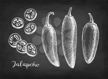 Jalapeno. Chili pepper pods and chopped pieces. Ink sketch isolated on white background. Hand drawn vector illustration. Retro style.