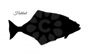 Flatfish. Ink sketch of halibut. Hand drawn vector illustration isolated on white background. Retro style.