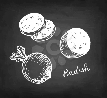 Radish. Chalk sketch on blackboard background. Hand drawn vector illustration. Retro style.