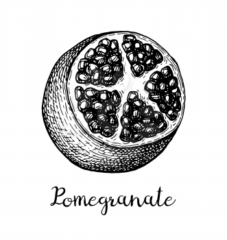 Pomegranate sliced in half. Ink sketch isolated on white background. Hand drawn vector illustration. Retro style.