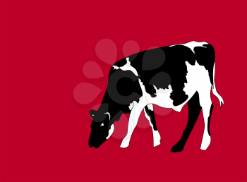 Portrait of a big black and white cow vector on red