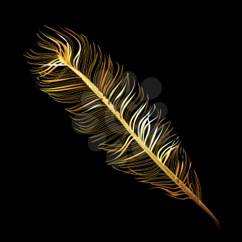 Golden Fabulous feather of magic bird on a black background