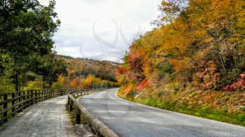 Colorful picturesque landscape. The turn of road among autumn trees. Golden autumn.