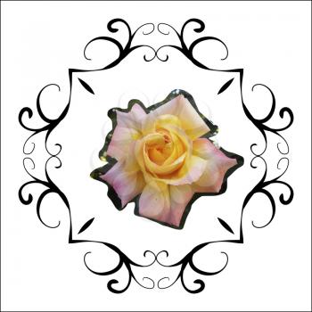 Floral frame retro lovely rose in decorative frame in a vintage style