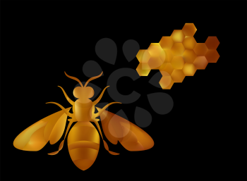Golden honey bee uterus of summer day on white background.