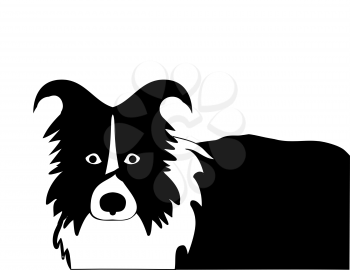 Silhouette of funny playful little black and white puppy. The dog stands and raised his ears.