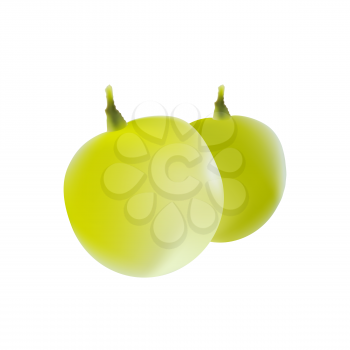 A whole and Half of the grapes with seeds on white background. Vitamins and healthy lifestyle.