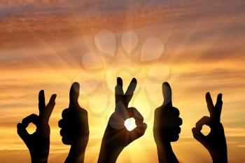 Success concept. Silhouette of a team of people hands shows gesture ok