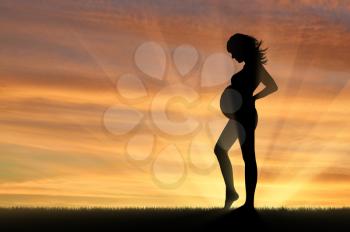 Pregnancy concept. Pregnant woman on a sunset background
