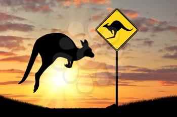 Silhouette of a kangaroo with a baby and a road sign at sunset