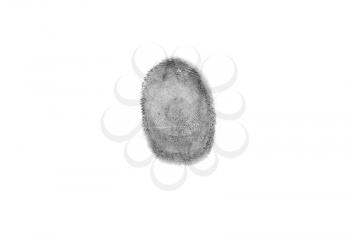 Security Concept. Fingerprint close up on a white background