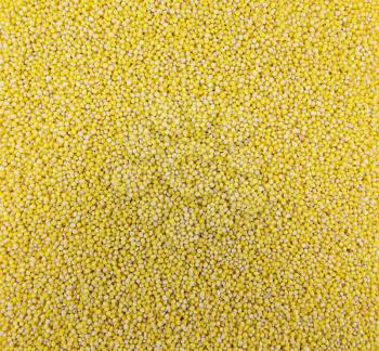 Millet yellow grits. Macro texture background