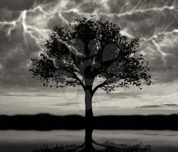 Lightning falls in lonely tree in field on a background of sky and reflection. Concept nature