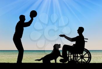 Silhouette of a disabled man in a wheelchair playing ball with a friend by the sea coast and a dog. The concept of fun pastime for people with disabilities