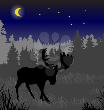 Elk in the night forest. There is a variant in a vector.