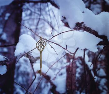 Magic golden key in the winter woods.