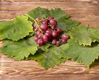 Bunch of grapes on a wooden table.