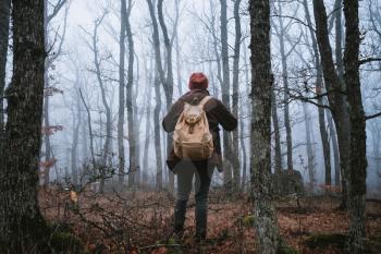 man walking on a dark path through a spooky forest. Hipster with a backpack behind his back goes on a trip