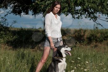 Beautiful young woman playing with funny husky dog outdoors at park. Summertime and sunset