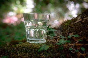 A glass of clean water, on the nature in the forest and river. Concept of a healthy lifestyle and environmental friendliness
