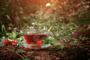 Fruit red tea with wild berries in glass cup, in forest, on bright background. summer season. concept of tea time and summer. soft selective focus.