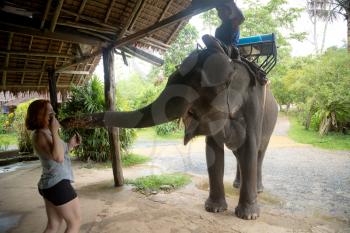 Asian natural scenery. Young red-haired girl feeding an elephant after a walk. Popular attraction in Thailand