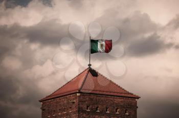 Flag with original proportions. Closeup of grunge flag of Mexico