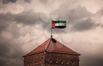 Flag with original proportions. Flag of the United Arab Emirates